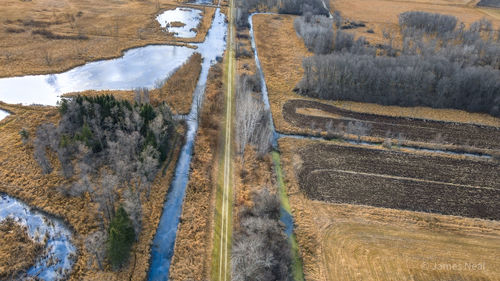 A dirt road in wisconsin farmland heading into the distance with streams along side and farm lands. 