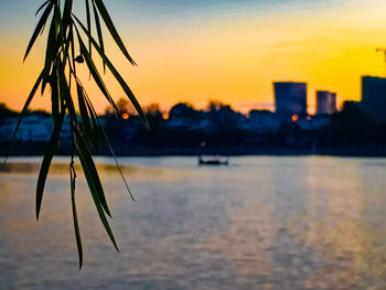 Close-up of silhouette plant by lake against sky at sunset