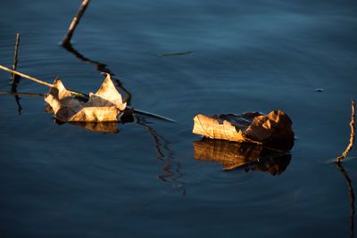 Reflection of boat hanging on lake