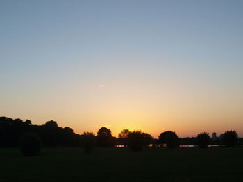 Silhouette trees on field against clear sky at sunset