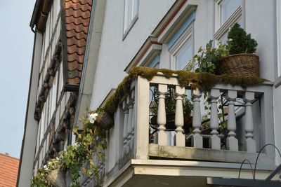 Low angle view of house in town