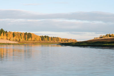 Siberian taiga river flowing, autumn bank of the river.fall forest yellow colors.