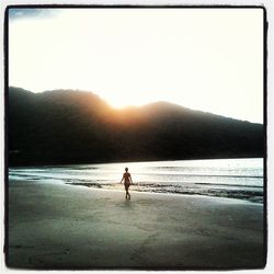 Silhouette of people on beach at sunset