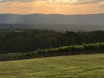 Scenic view of field against sky during sunset