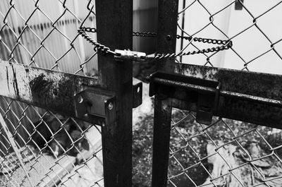 Close-up of padlock on fence