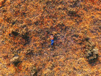 High angle view of people walking on field