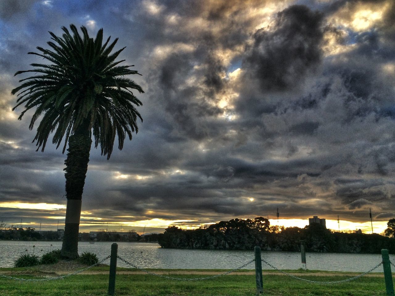 sky, cloud - sky, cloudy, palm tree, tranquil scene, tranquility, beauty in nature, sunset, scenics, silhouette, tree, nature, dramatic sky, weather, cloud, landscape, overcast, idyllic, field, storm cloud