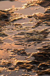 Aerial view of beach against sky during sunset