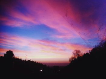 Silhouette of trees at sunset
