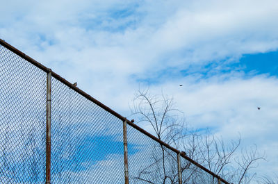 Low angle view of chainlink fence against sky