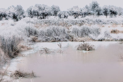 Scenic view of frozen lake against sky