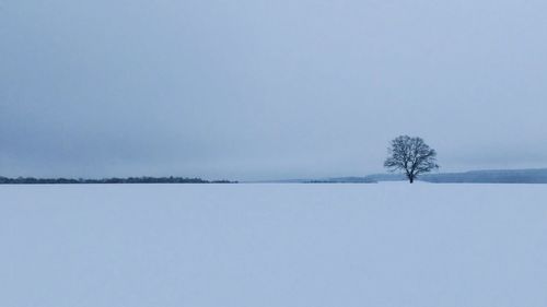 Scenic view of snow covered field against sky