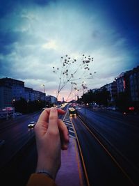 Cropped hand of woman holding plant on road against cloudy sky during dusk