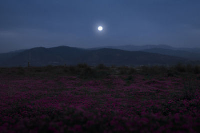 Scenic view of field against sky at night