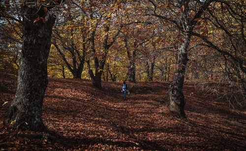 Rear view of person on field in forest during autumn