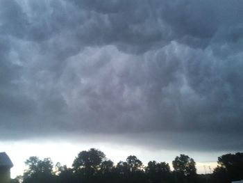 Low angle view of trees against storm clouds