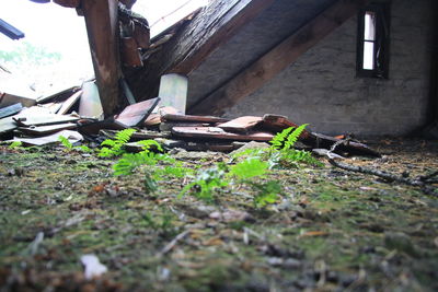 Close-up of old wooden wall