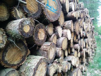 Stack of logs
