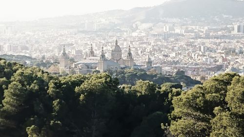 High angle view of trees and buildings in city