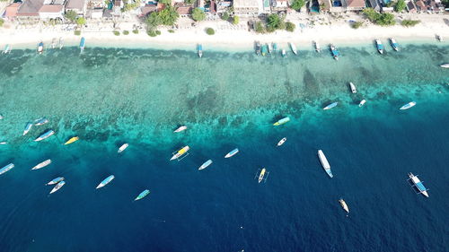 High angle view of fishes swimming in sea