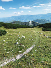 Scenic view of field against sky