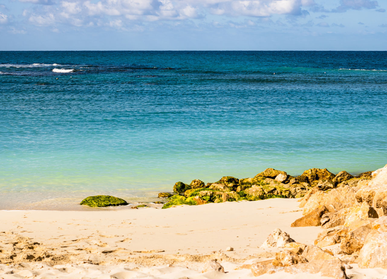 SCENIC VIEW OF BEACH AGAINST BLUE SKY