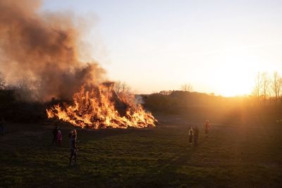 View of bonfire on field against trees