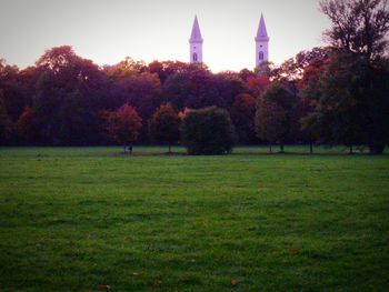 Trees in park