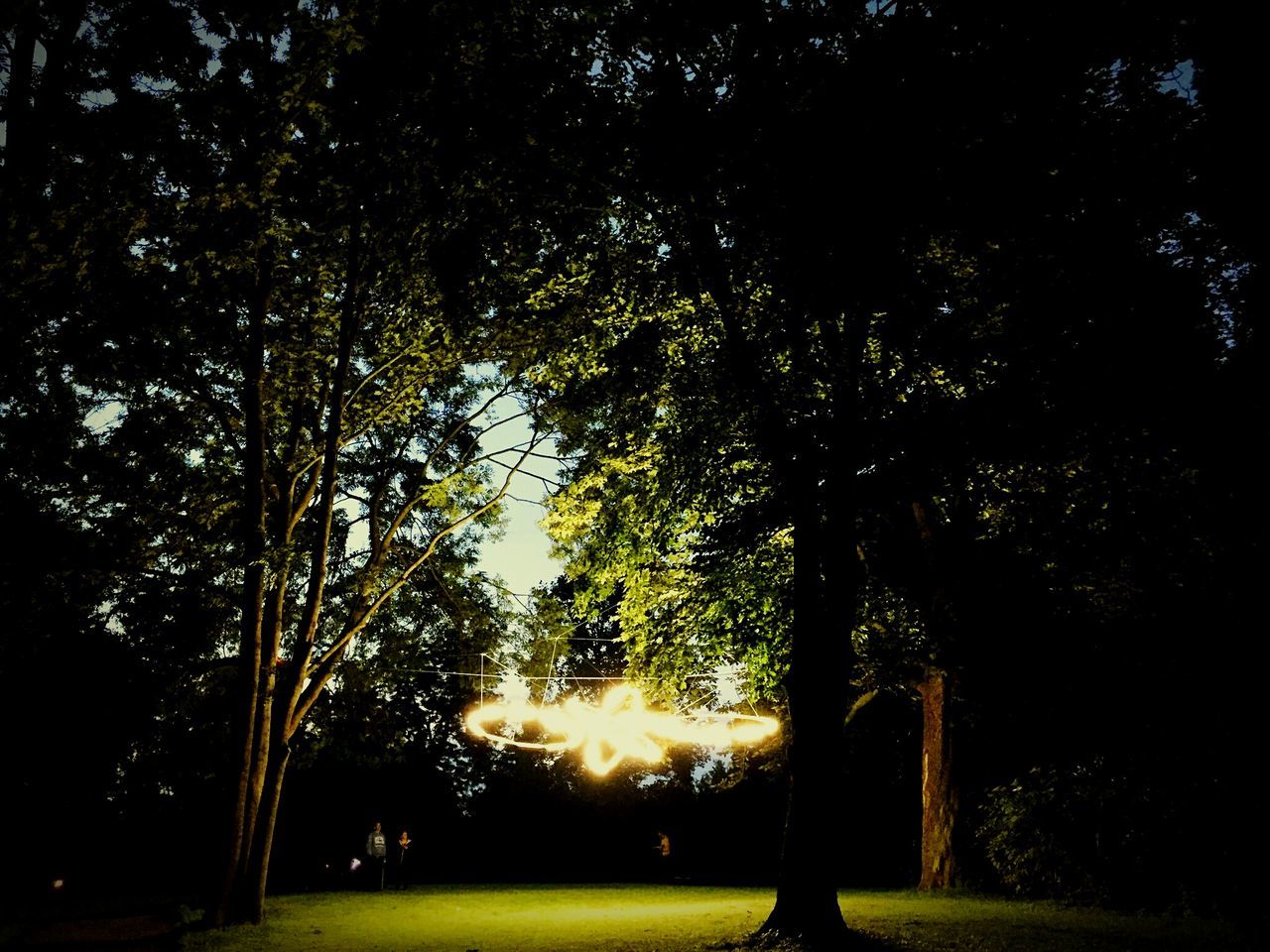 tree, grass, tranquility, park - man made space, street light, growth, silhouette, nature, sunlight, night, illuminated, green color, sky, tranquil scene, field, beauty in nature, branch, outdoors, scenics, tree trunk