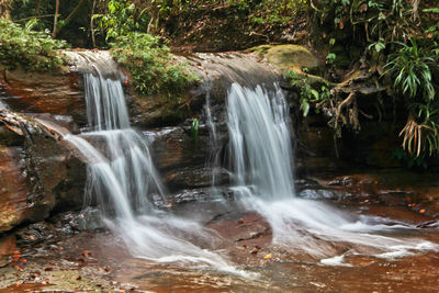 View of waterfall in forest