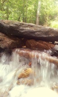 Waterfall in forest