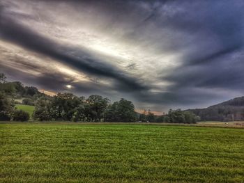 Scenic view of field against sky