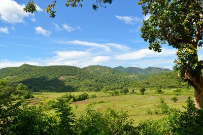 Scenic view of landscape against sky