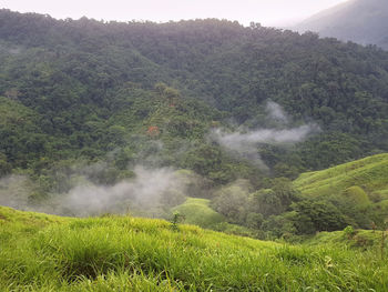 Scenic view of landscape