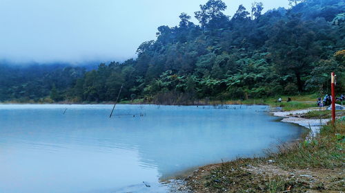 Scenic view of lake by trees against sky