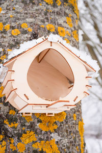 Wooden feeder for wild forest birds with food hanging on tree covered with fresh icy frozen snow
