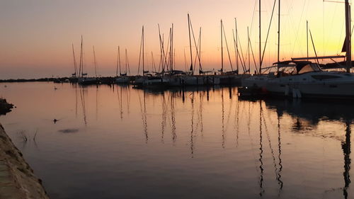 Sailboats in marina at sunset