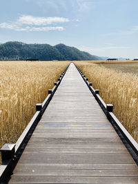 View of agricultural field against sky