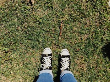 Low section of person standing on grass