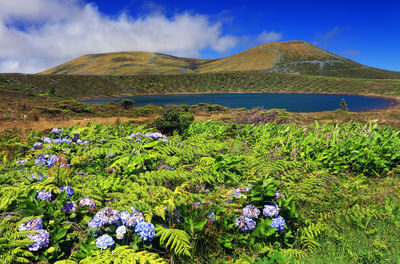 Scenic view of mountains against sky