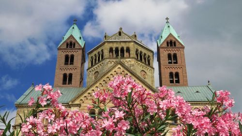 Low angle view of flowering plant against building