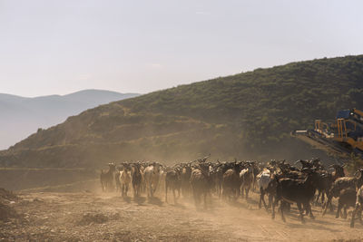 Panoramic view of people on landscape against mountains