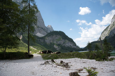 Scenic view of rocky mountains against sky