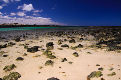 Scenic view of beach against blue sky