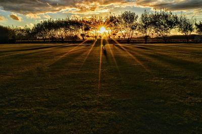 Scenic view of grassy field against sky at sunset