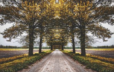 Road amidst trees against sky during autumn