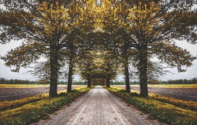 Road amidst trees against sky during autumn