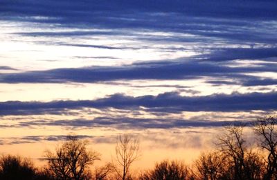 Low angle view of bare trees against cloudy sky