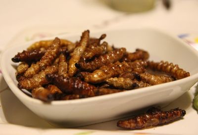 Close-up of meat in bowl