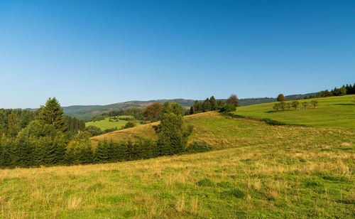 Scenic view of landscape against clear blue sky